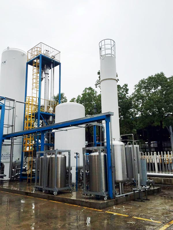 High purity gas plant