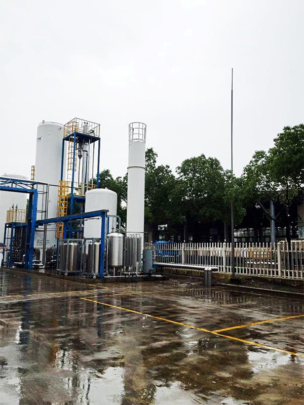 High purity gas plant