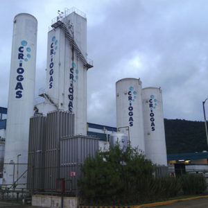 ASME standard plant